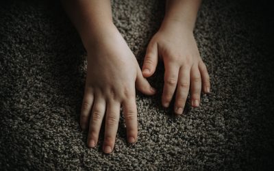 Green Carpet Cleaning vs. Traditional Carpet Cleaning